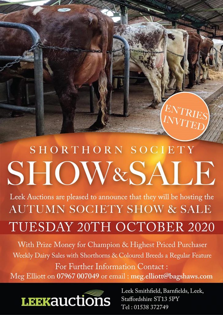 Leek Dairy Shorthorn Show & Sale 2020