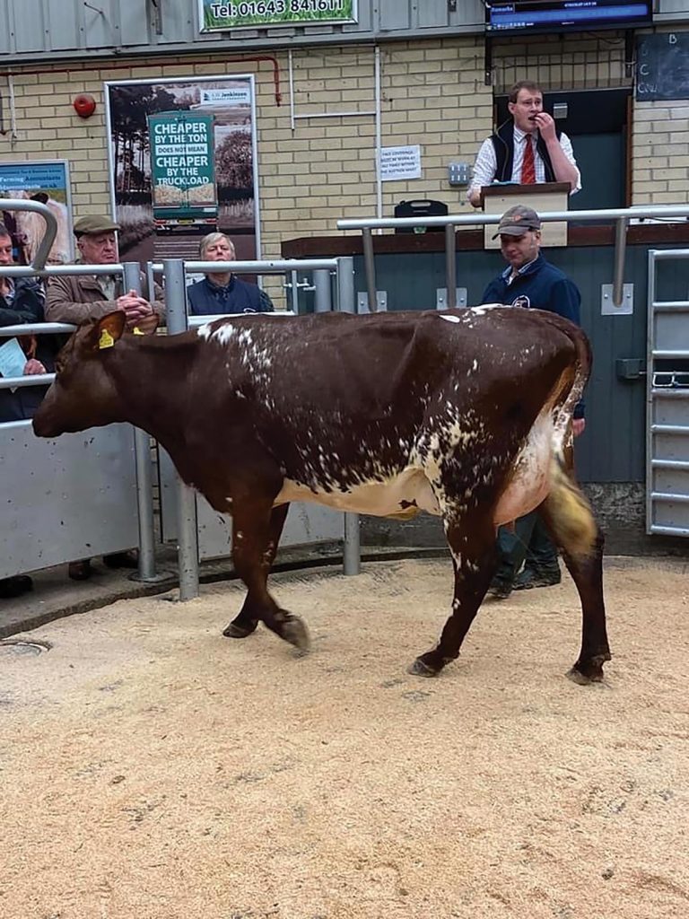 Lot 9: Strickley Lily 39 sold for 1,800gns