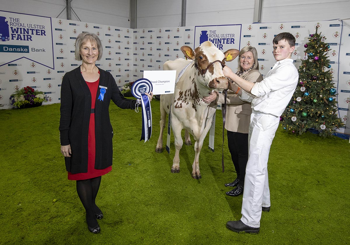 The breed Championships was won by Sunrise Shorthorns with Sunrise Perfect Heather.